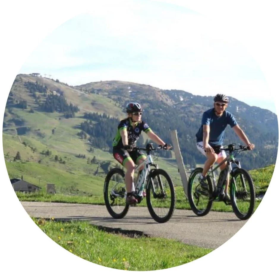 Location de vélo