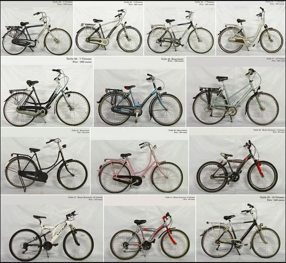 Sélection des vélos d'occasion hollandais