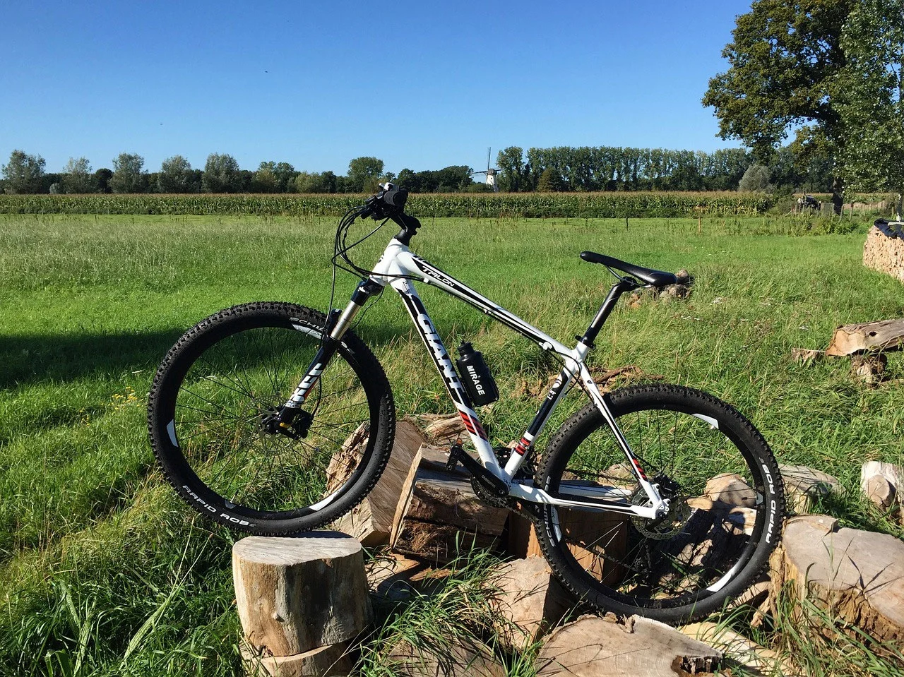 Annonce leboncoin VTT occasion GIANT blanc homme