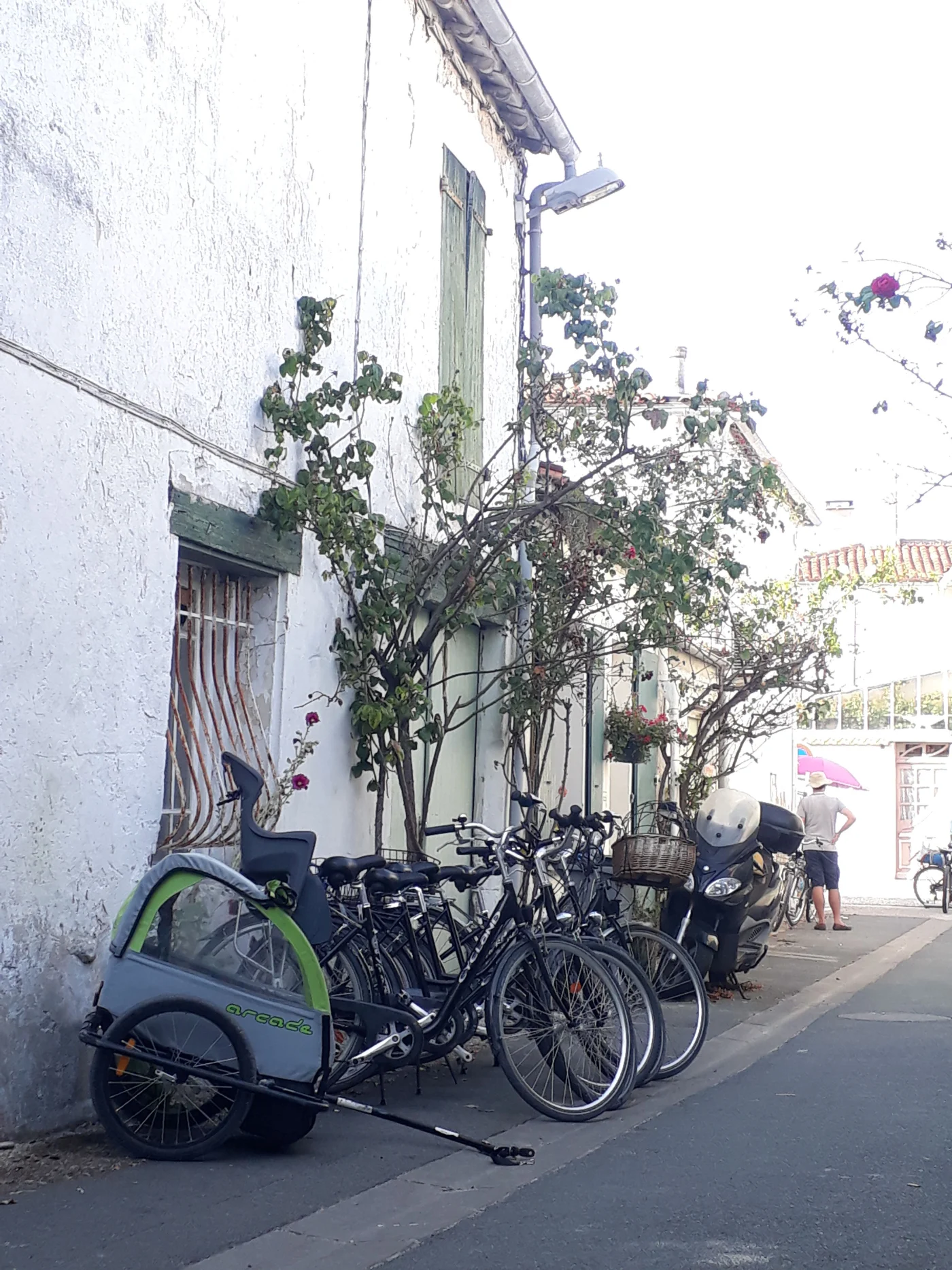 Loueur de vélo à Le Bois Plage en Ré