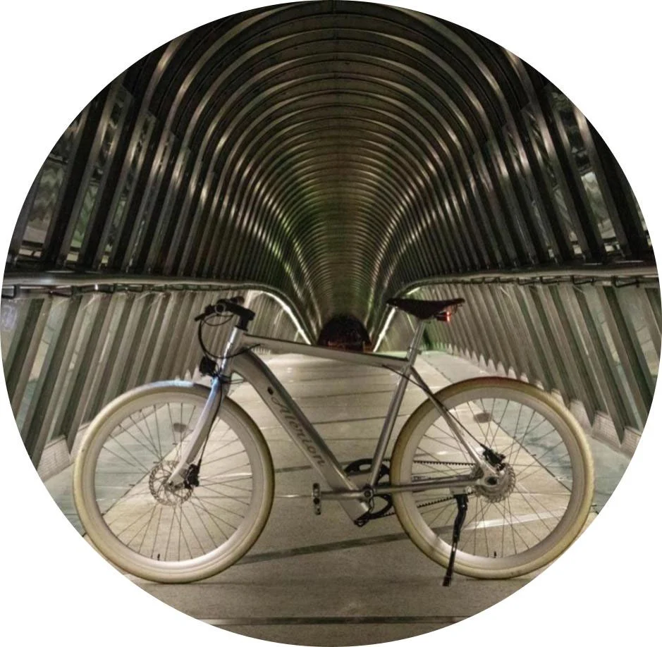 Alerion Cycles