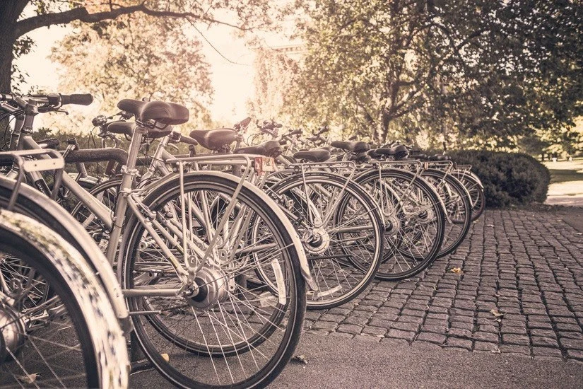 vélos de location garés
