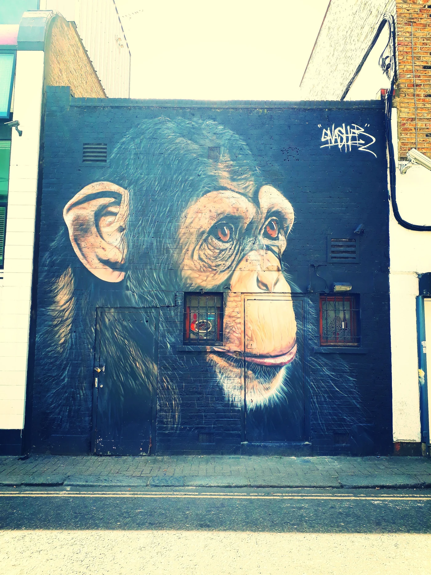 Street art de singe à Camden Londres vélo