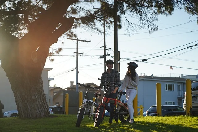 Couple à vélo electrique d'occasion