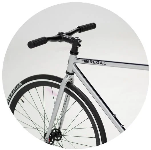 Vélo métallique régal