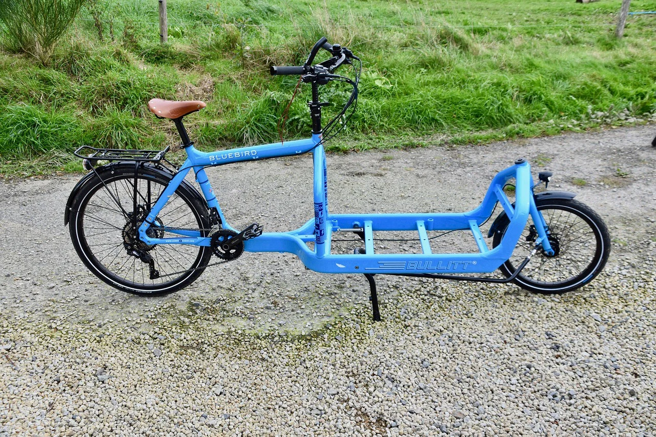 vélo cargo occasion bleu