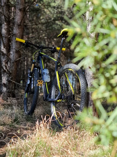 VTT foret