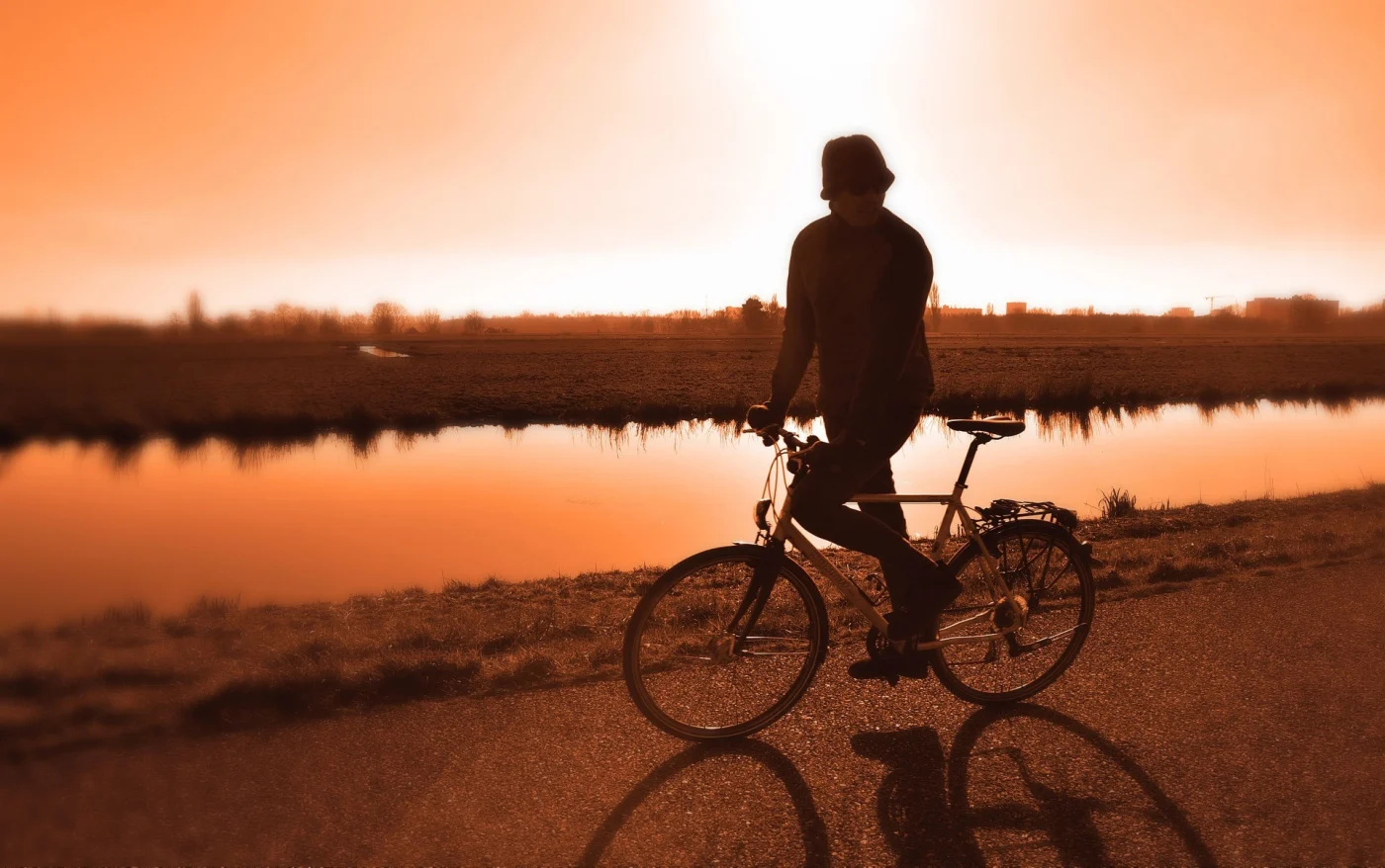 voleur de vélo