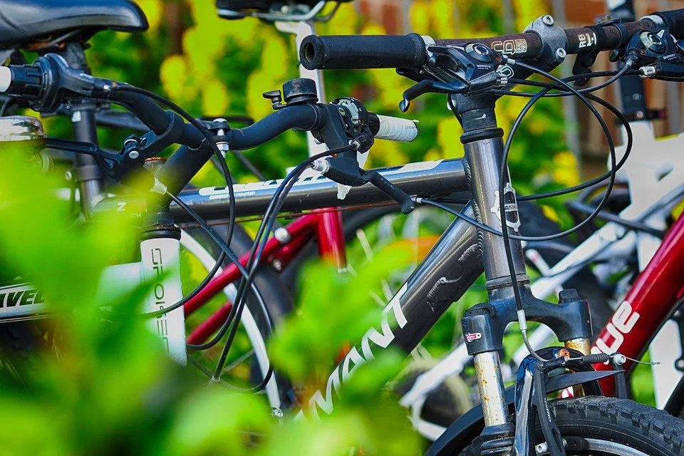 Vtt d'occasion dans le bois de vincennes ou le bois de boulogne