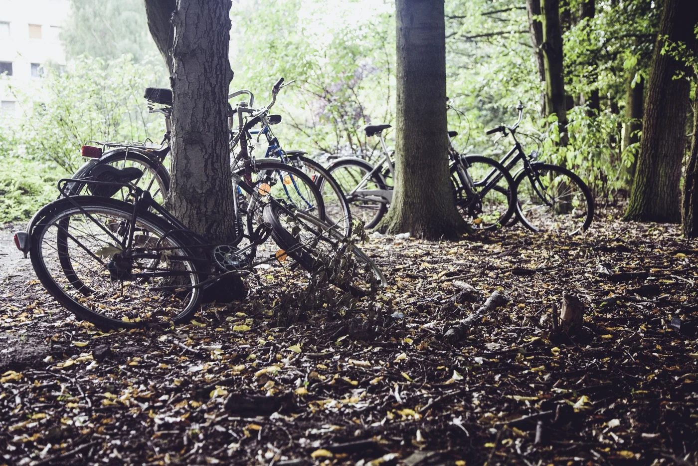 Velos dans les bois