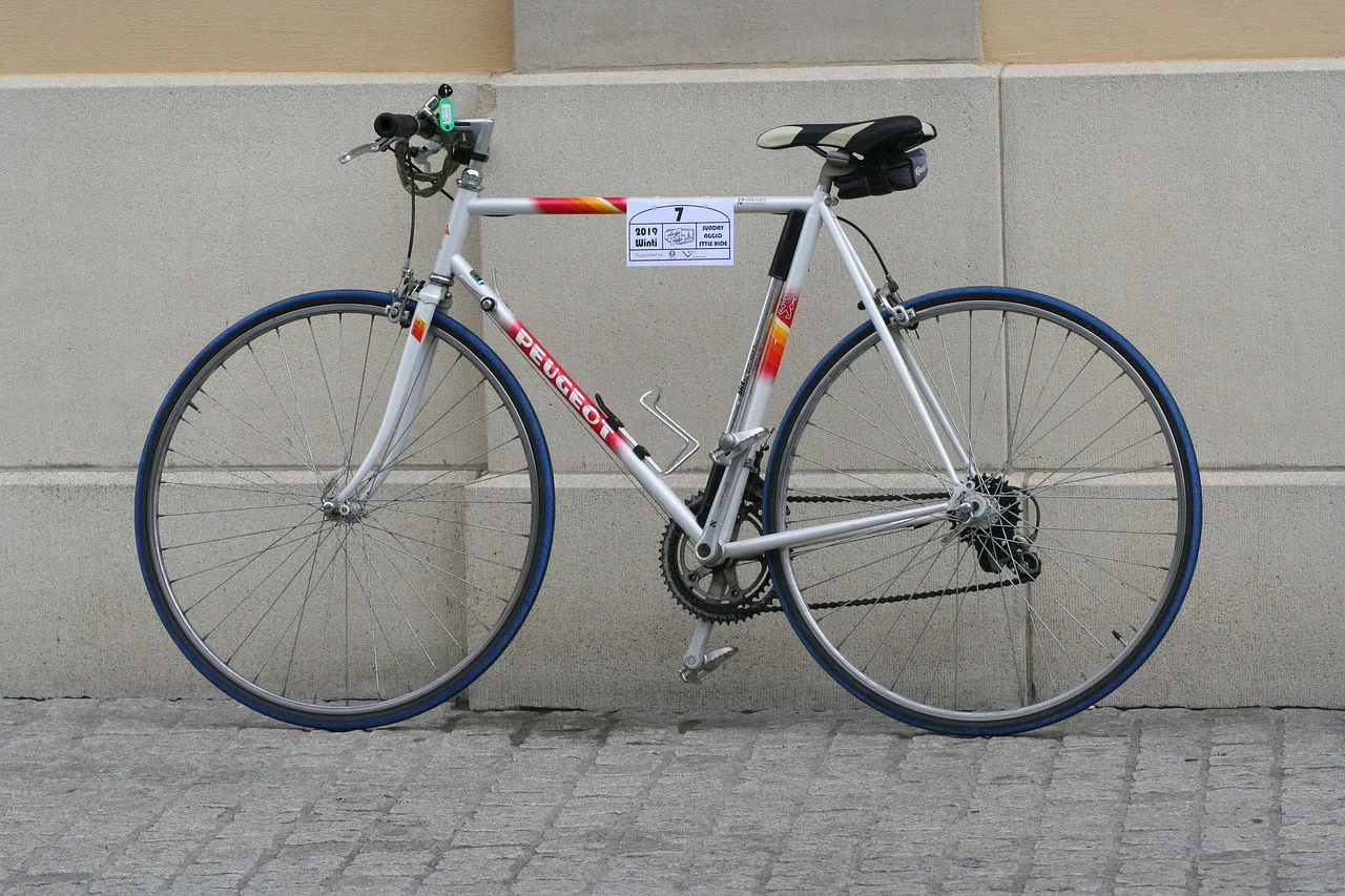 Velo carte grise
