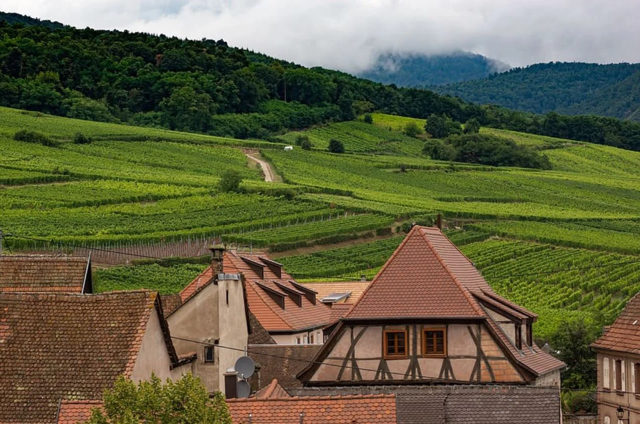 Alsace à vélo