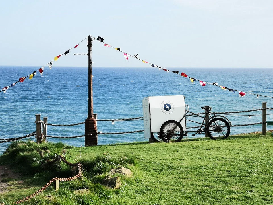 vélo cargo d'occasion