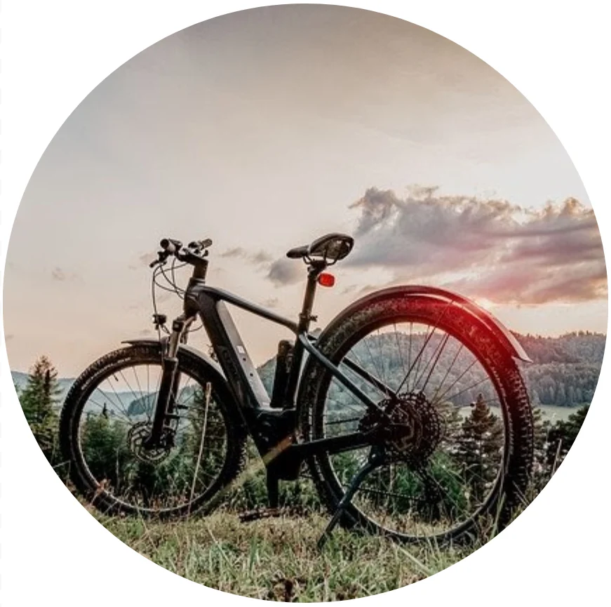 reprise de vélos électrique d'occasion