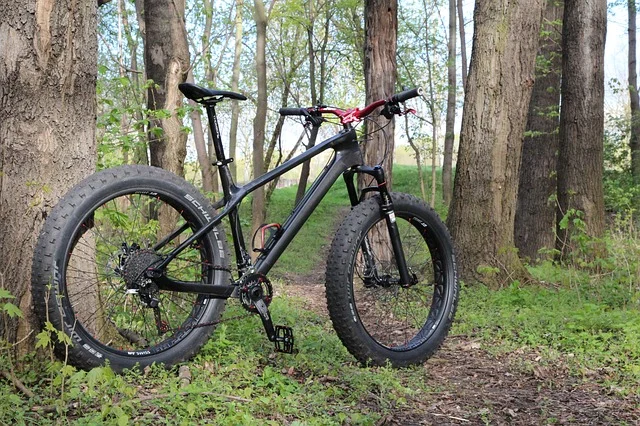 Fatbike dans la foret