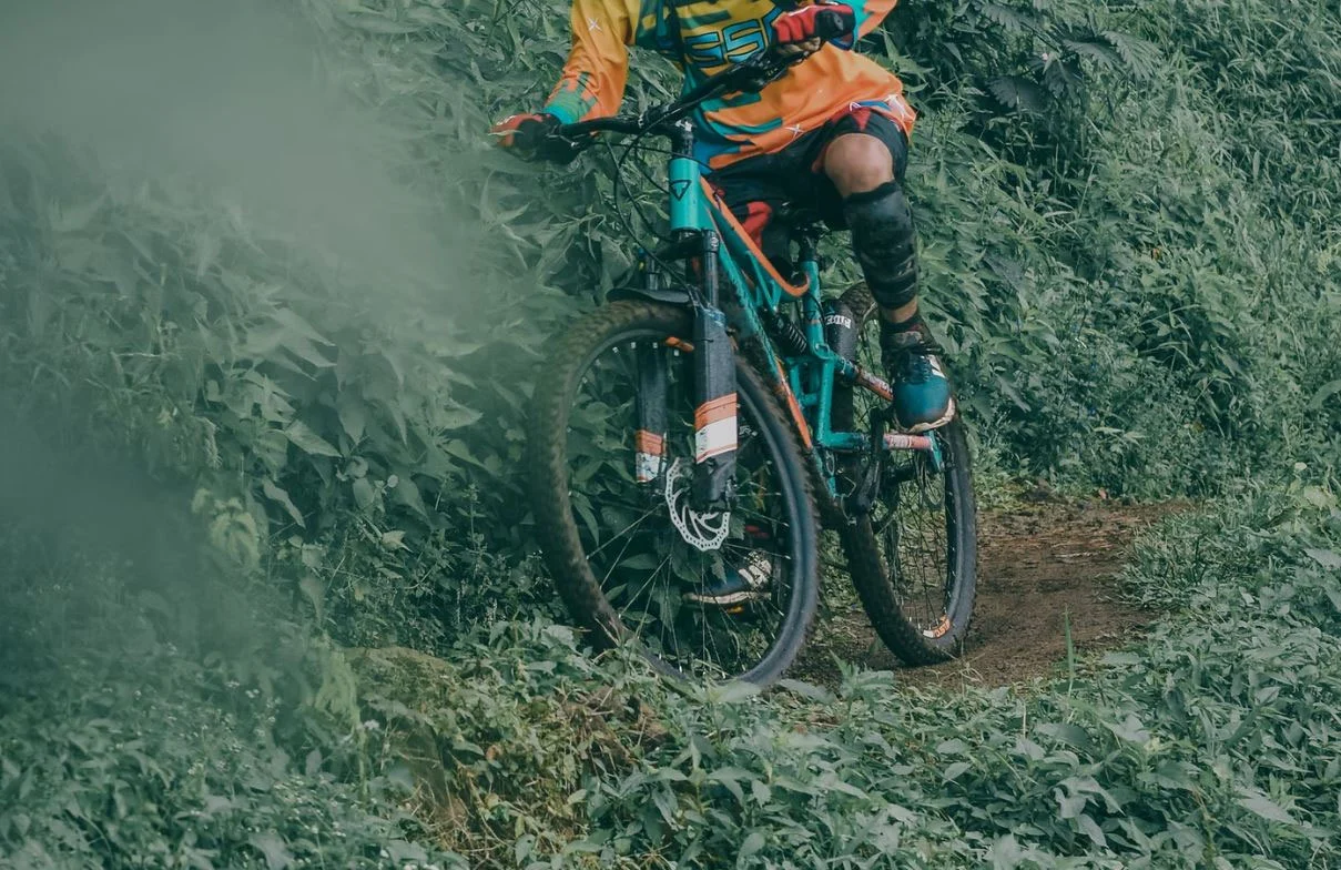 VTT en forêt
