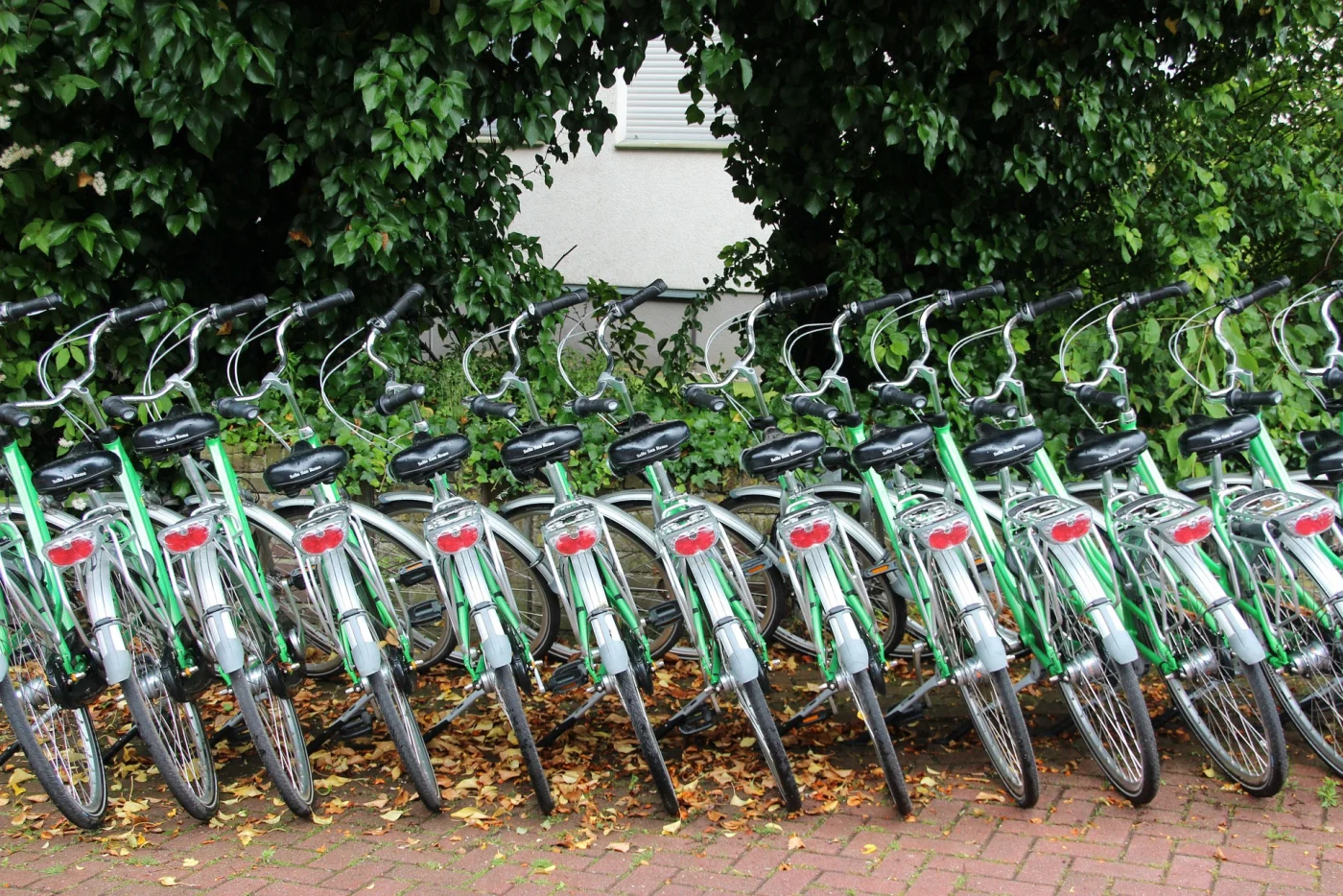 vélos pas cher sortie d'usine