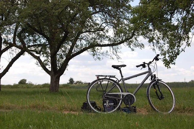 Vélo d'occasion decathlon