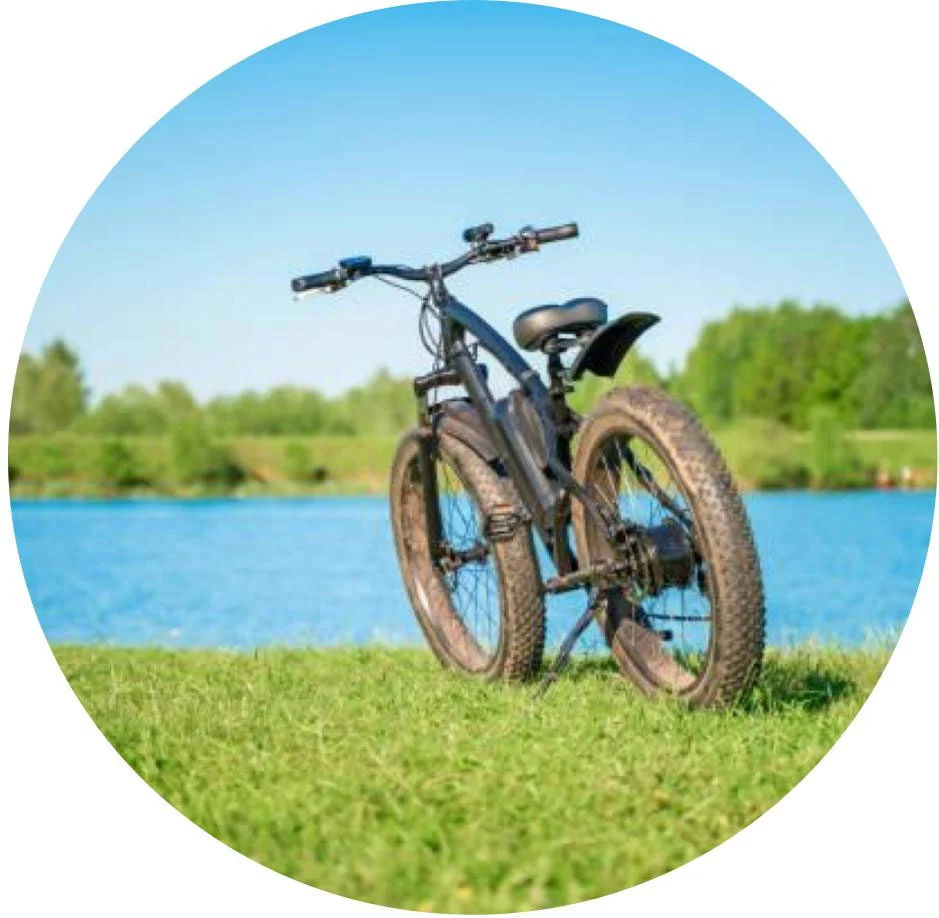 vélo cargo electrique blanc