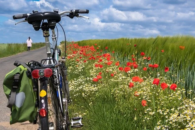 sacoche velo occasion