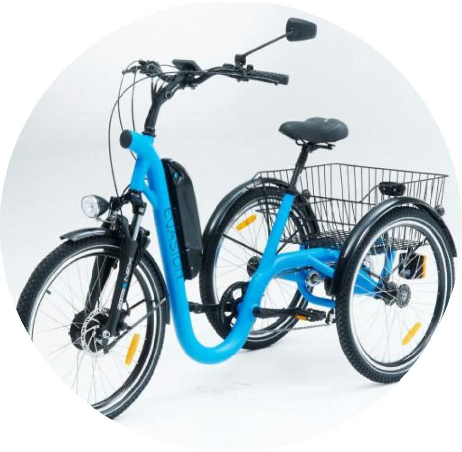 tricycle electrique bleu